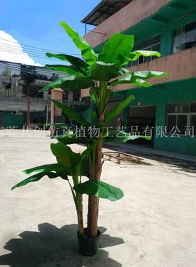 供应盆栽植物仿真芭蕉叶居家摆件盆景装饰芭蕉果大叶芭蕉树