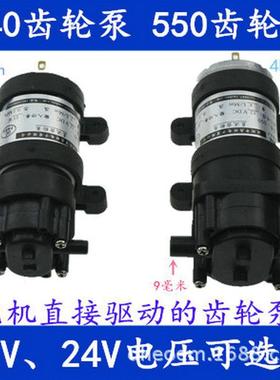 24V齿轮泵抽油泵灌装机水泵糖浆泵果糖机泵炒菜机油泵微型齿轮泵