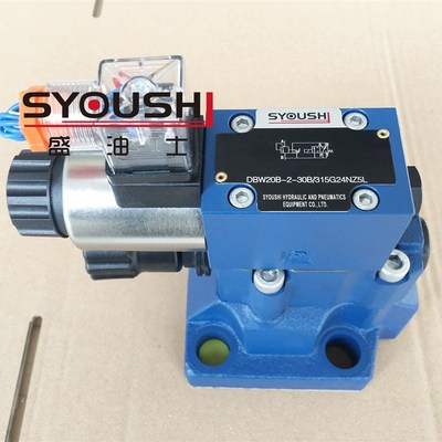 电磁溢流阀DBdW20B-1-50/31.5-D24,DBW20B-1-50/31.5CG24-NZ5L