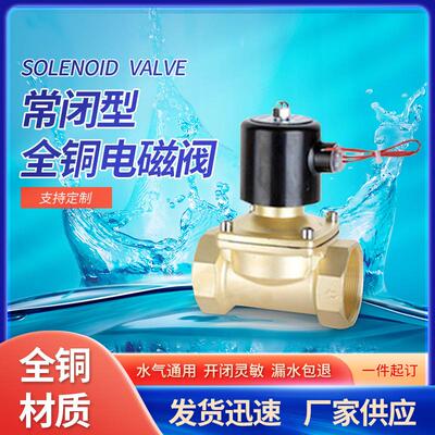 电磁阀厂家 2分4分6分1寸2寸AC220VDC24阀2W常闭型全铜电磁阀水阀