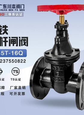 Z45T-16Q黑色铸铁闸阀阀门开关水法兰式暗杆闸阀升降式国标DN100