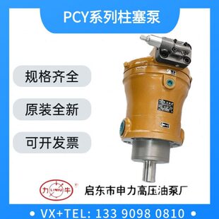 轴向柱塞泵 250PCY14 160 启东申力高压油泵10