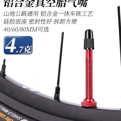 管胎法嘴真空胎通用气嘴自行车真空胎48mm法式真空汽嘴气门芯工具