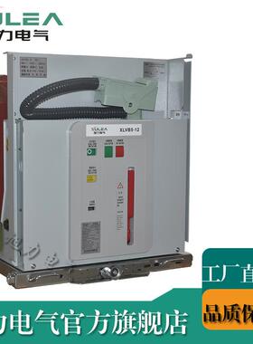 10KV户内真空断路器代替VBGVLVYGVN3CV2RMV13AS4BYE-12