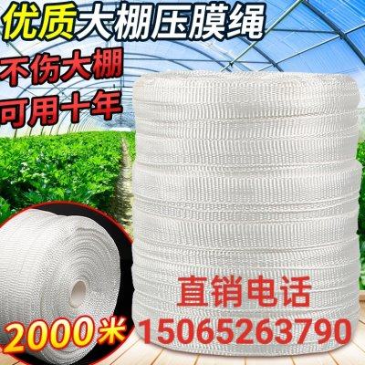 大棚抗老化压膜绳压膜带白色涤纶加厚耐磨压膜线压棚绳拉树绳农用