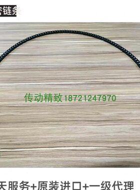 台湾TYC进口侧弯链条转弯机链条40SB 50SB  60SB80SB不锈钢侧弯链