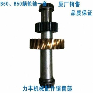 B60 B80搅拌机 打蛋机配件 力丰 蜗轮轴 红菱B50 齿轮 蜗轮 旭众