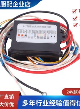 24V蒸汽机脉冲脉冲点火器盒 商用蒸汽发生器配件主控制板双电磁阀