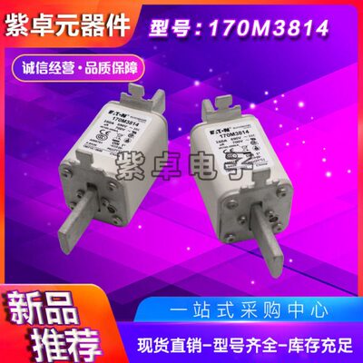 170M3814 170M3815 170M3816 170M3817 170M3818 170M3819熔断器