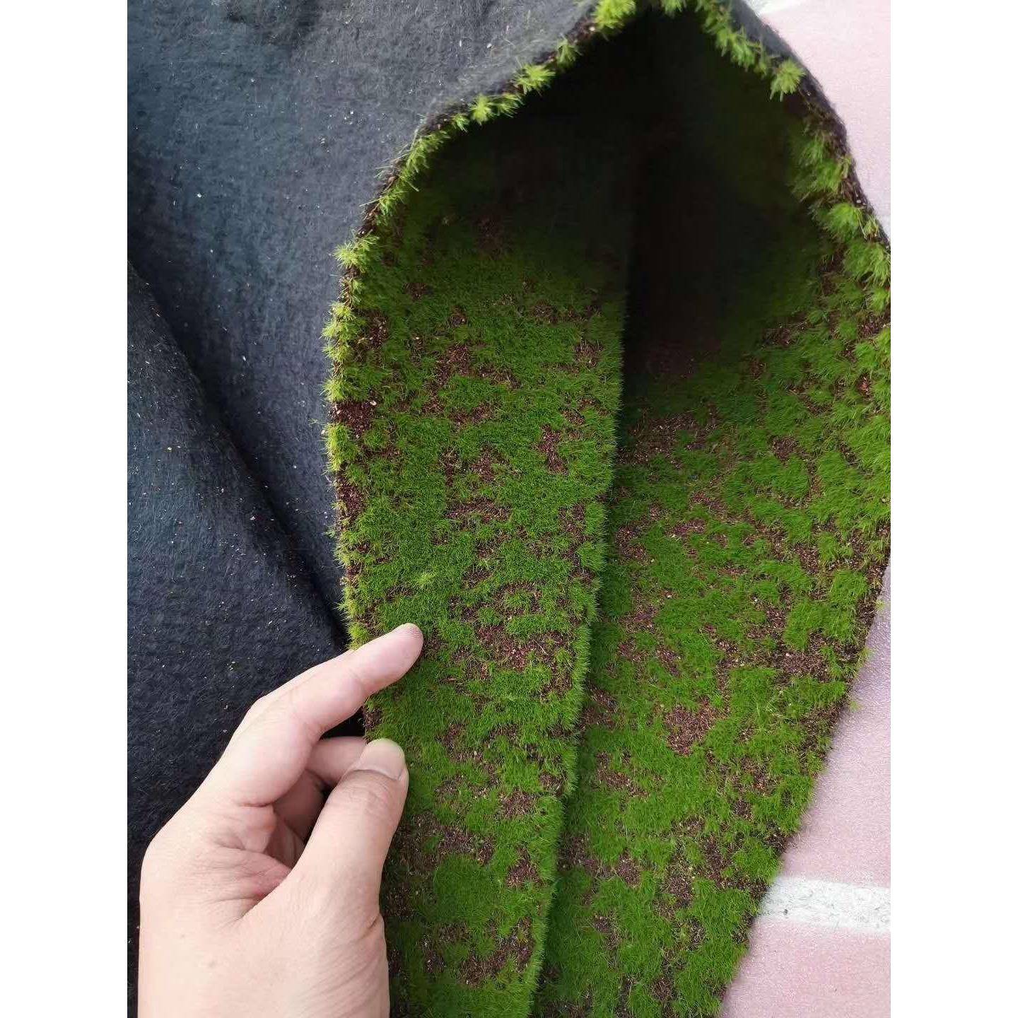 绿植墙青苔草坪苔藓草坪青苔盆景场景橱窗假苔藓软装装饰