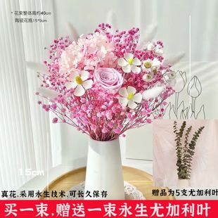 满天星干花高级感真花永生花可久放玫瑰花满天星干花卧室摆设真花