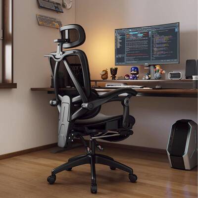 Ergonomic chair computer chair office chair 安吉人体工学椅