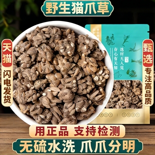 纯野生正品猫爪草官方旗舰店新货水洗猫爪草配夏枯草郁金蒲公英