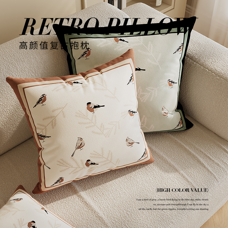 简约风客厅靠垫沙发抱枕套双面图C案靠枕床头靠背垫可拆洗厚实靠
