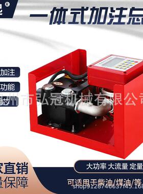12v24v220V车载小型加油机电动抽油泵大流量柴油泵全自动电子计量