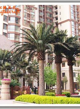 玻璃钢仿真海藻树加纳利海藻树中东银海枣树室内外仿真海藻树