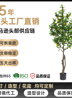 仿真绿植柠檬树盆栽高级感室内客厅落地装饰摆件假树植物橘子树