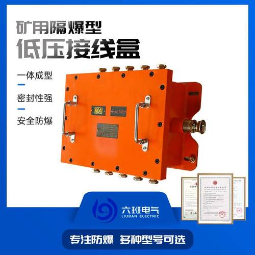 矿用隔爆型接线盒BHD20-10/127-24G防爆低压接线箱煤矿电缆分线箱