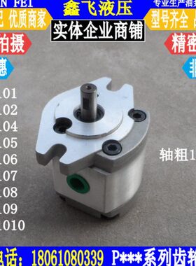 P101/P102/P104/P105/P106/P107/P108/P109 RP01GT齿轮油泵12.7轴