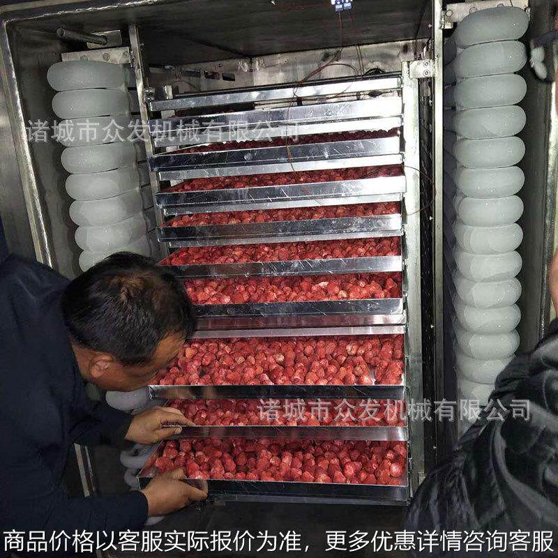生产玫瑰花秋葵真空冻干机 食品果蔬冻干设备 水果类冻干机