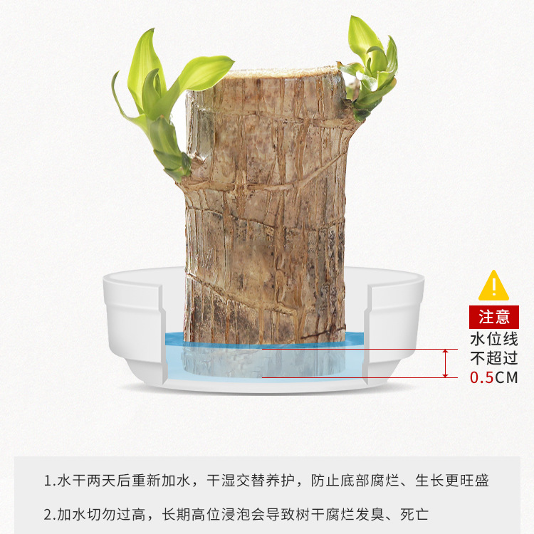 巴西木幸运木植物树脂专用s盘粗陶托 托盘创意多肉花盆底座地垫鎏