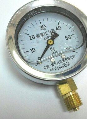 耐震压力表 雷尔达 YN-60 0～60mpa m14x1.5 背后62mm 前面69mm
