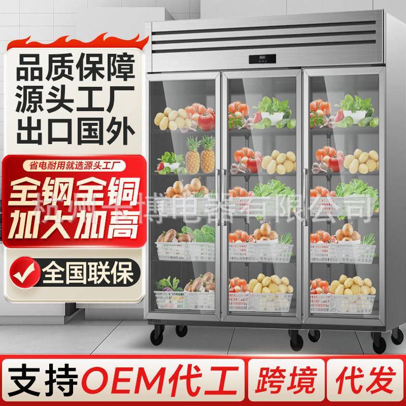 全钢铜管商用冰箱立式不锈钢大容量水果蔬菜冷藏保鲜柜冷藏柜