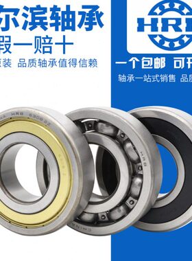 HRB 哈尔滨轴承 6307 6308 6309 6310 6311 6312 6313 ZZ RZ