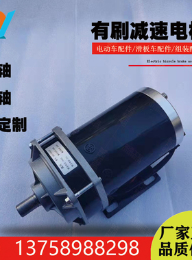 24V36V48V500W减速电机有刷永磁直流电动机定做喂料车发电机