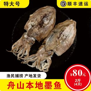 舟山野生海捕大墨鱼鲜活冷冻大目鱼东海特大乌贼 非墨鱼仔