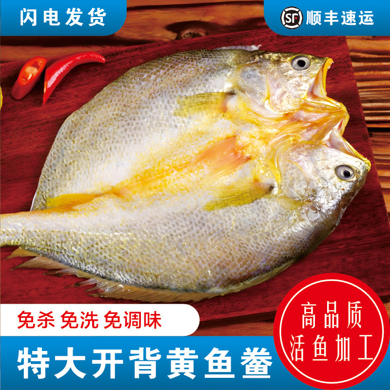 宁波深海开背黄鱼鲞海鲜冷舟山冻脱脂大黄花鱼顺丰包邮