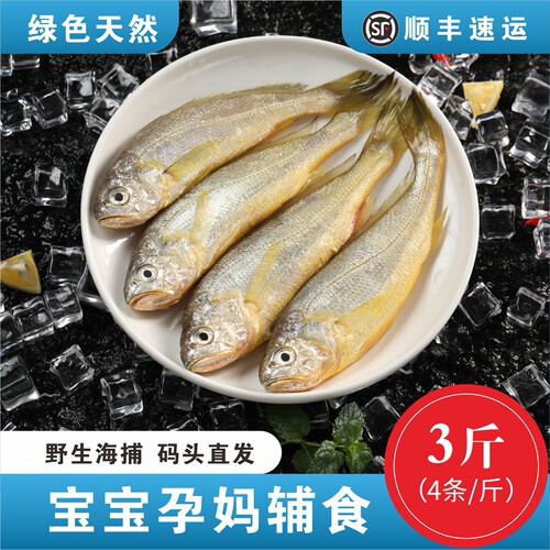 3斤舟山野生小黄花鱼新鲜海捕小黄鱼黄花鱼鲜活海鲜水产野生海捕