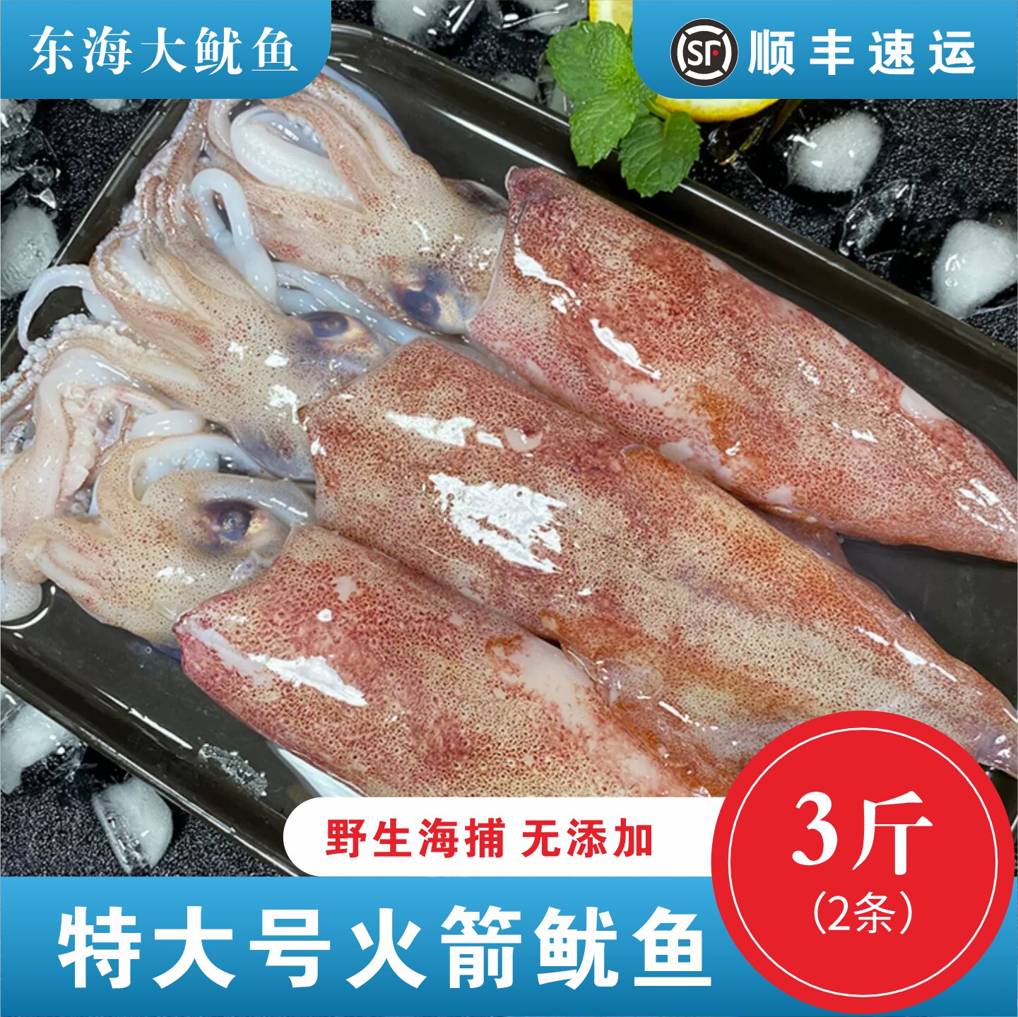 东海野生鱿鱼生鲜冷冻新鲜海捕超大尤鱼笔管鱿鱼整只白灼烧烤专供图片