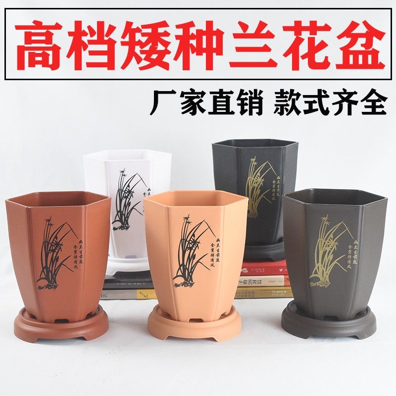 侬花村矮种兰花专用盆塑料兰花盆加厚兰花花盆桌面中国风兰草盆,鲜花速递/花卉仿真/绿植园艺,花盆,淘宝优惠券,粉丝福利购,淘宝优惠卷