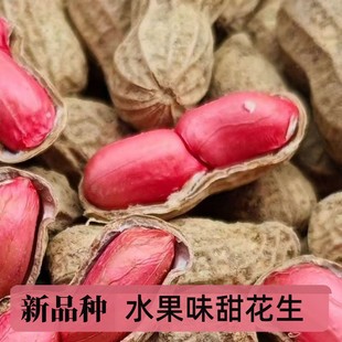 现挖现发新鲜水果甜花生湿花生农家自种现挖现发