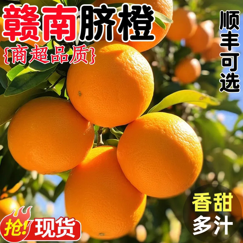正宗江西赣南脐橙新鲜现摘橙子