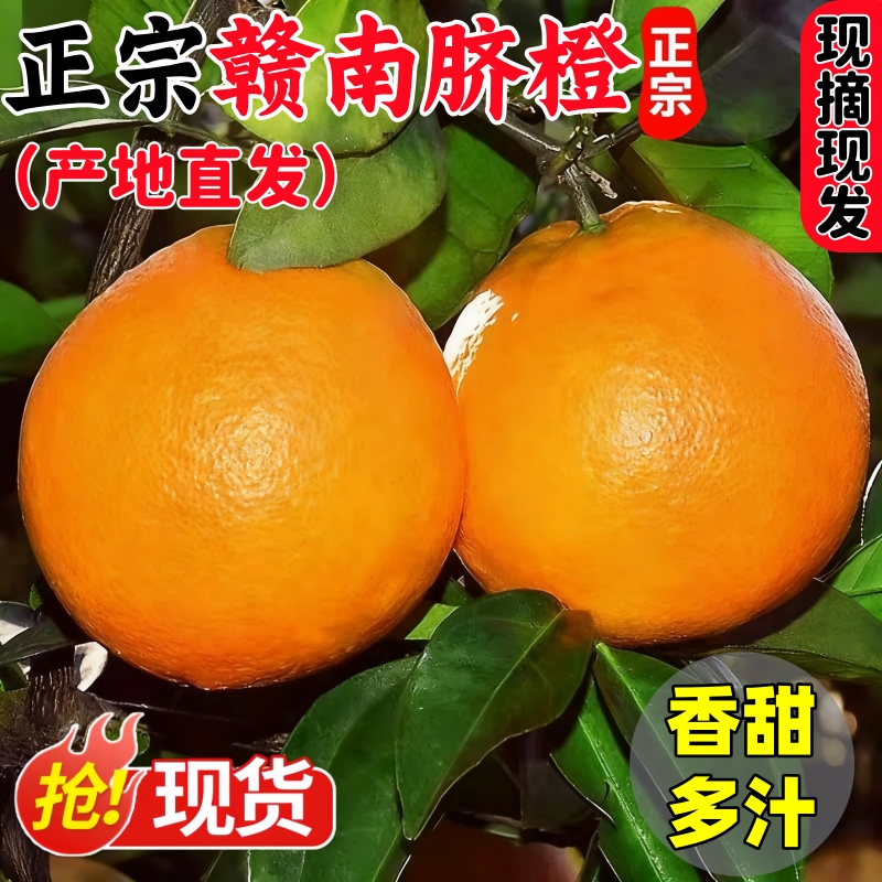 正宗江西赣南脐橙产地直发5斤整箱新鲜橙子现摘当季水果顺丰可选