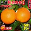正宗江西赣南脐橙产地直发5斤整箱新鲜橙子现摘当季 水果顺丰可选