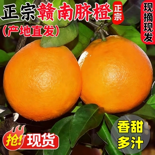 正宗江西赣南脐橙产地直发5斤整箱新鲜橙子现摘当季 水果顺丰可选