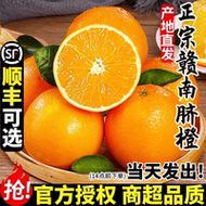 正宗赣南脐橙净重4.5斤