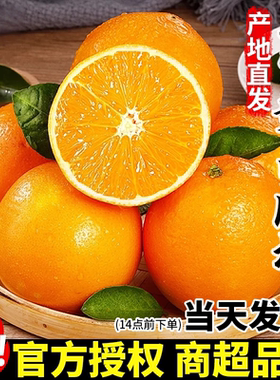 赣南脐橙橙子新鲜江西官方旗舰店产地直发正宗赣州安远鲜水果现摘