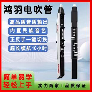 鸿羽电吹管AEC10国产电子吹管葫芦丝电子笛电萨初学者乐器大全