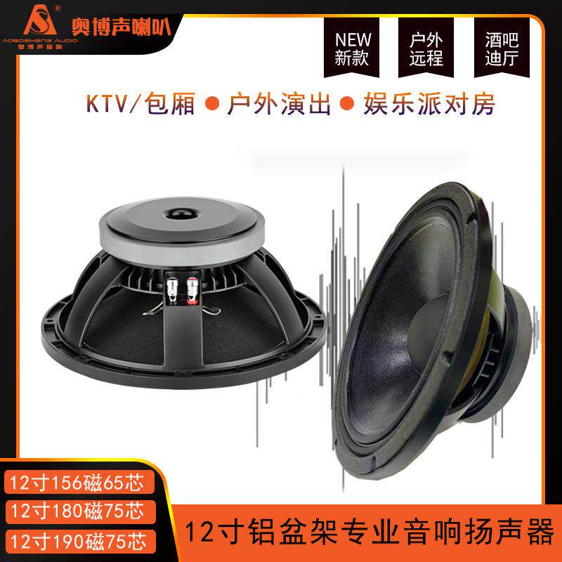 12寸全频低音喇叭156磁65芯专业娱乐线阵舞台音箱专用KTV大功率8