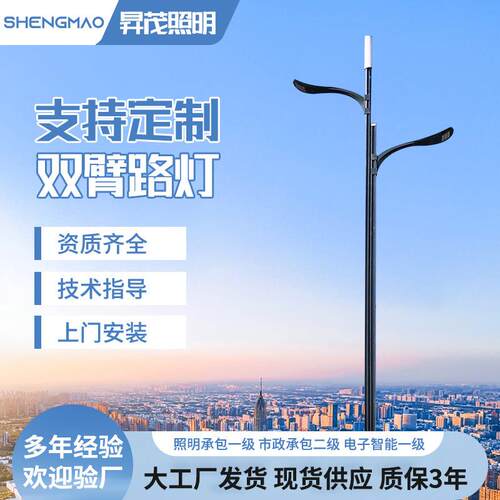 LED市电双臂路灯杆生产8米10米新农村建设道路照明路灯杆