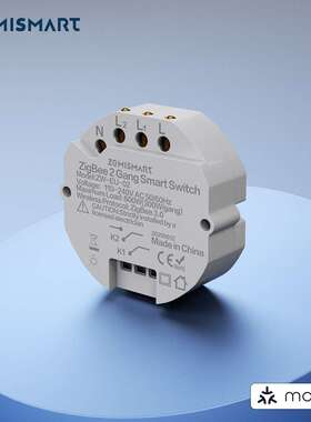 zemismart智能86二路开关底座matter协议Google Home