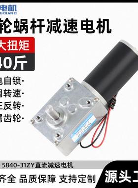 名扬微型直流减速电机12伏24v大扭力5840-31zy蜗轮蜗杆可调速马达