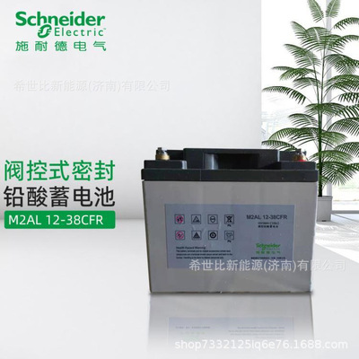 APC schneider蓄电池M2AL12-38SFR12V38AH高速铁路信号及监控系统