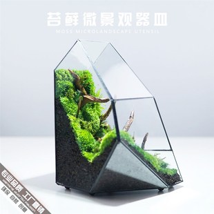 苔藓微景观生态瓶制作材料雨x林缸造景花盆绿植盆栽玻璃花房花器