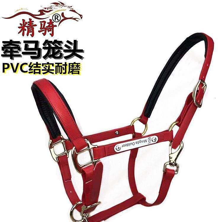 新牵马笼头马具全套配件PVC大小马矮马龙套调教龙头量大