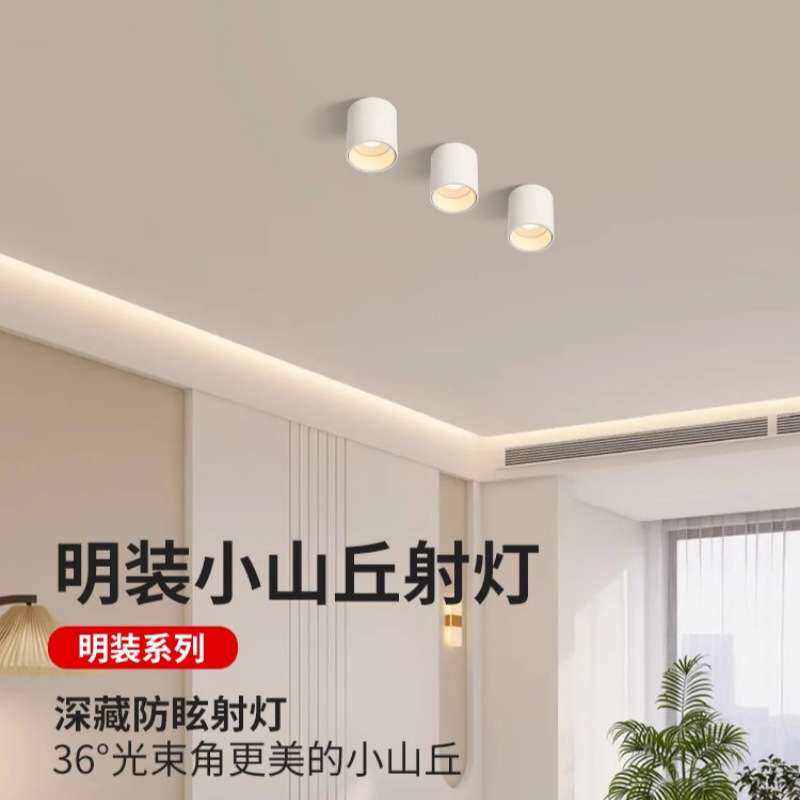 明装筒灯射灯led天花灯免开孔家用圆形吸顶式玄关走道卧室无主灯